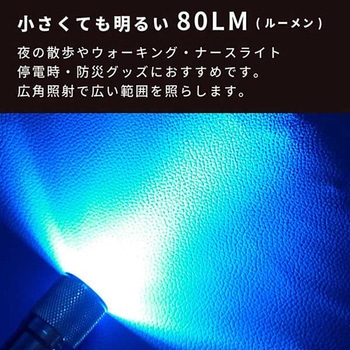 コンパクト強力9LEDハンドライト GLOBAL&LOCAL