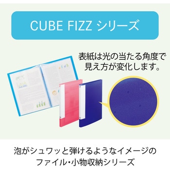 CUBE FIZZ クリヤーブック<サイドベンツ> リヒトラブ
