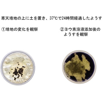 寒天培地(土壌微生物用) ナリカ