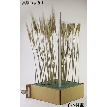 生産構造図作成体験セット ナリカ