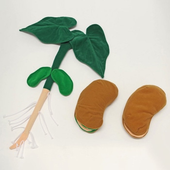 発芽ソフトモデル ナリカ