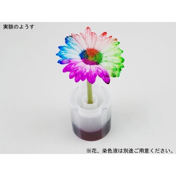 レインボーフラワーメーカー ナリカ
