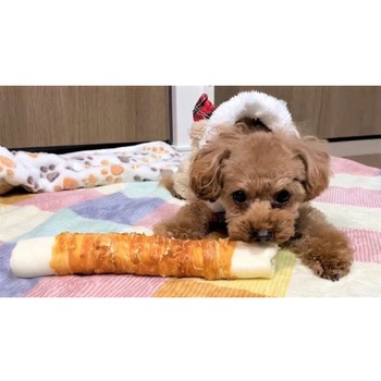 ペットプロ BIGガム ささみ巻き - ペットプロジャパン
