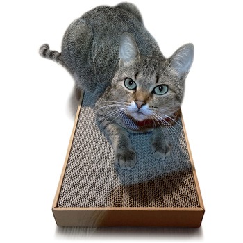 ねこがくれ ねこちゃんのつめみがき ワイド 詰め替え ペットプロジャパン