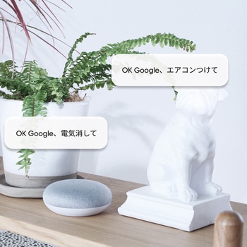 Nature Remo mini 2 ネイチャー