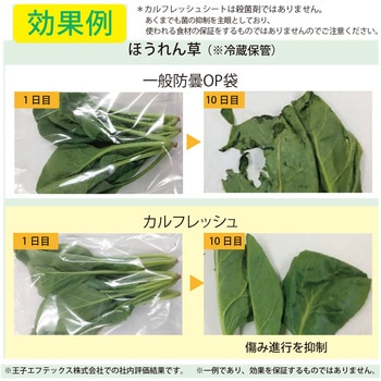 ながもちくん鮮度保持パック3枚 服部