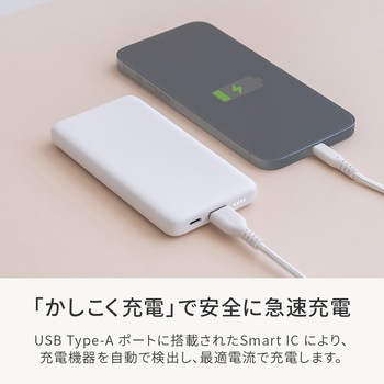 厚さ13.3mm 5000mAh 最大15W出力 USB Type-C入出力/USB Type-A出力 モバイルバッテリー OWLTECH(オウルテック)