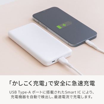 厚さ14.2mm 10000mAh 最大15W出力 USB Type-C入出力/USB Type-A出力 モバイルバッテリー OWLTECH(オウルテック)