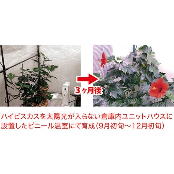 KY-36W-SC 蛍光灯型植物育成ライト36W 1台 富士倉 【通販