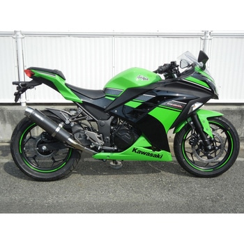 S/O ラウンド・カーボンサイレンサー 13-17 Ninja250・ABS WR’S(ダブルアールズ)