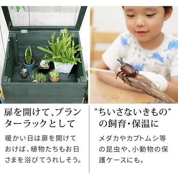 木製窓付グリーンハウス (温室) 「OWN」(オウン) 住まいスタイル