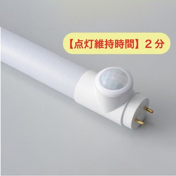 LED 人感センサータイプ LEDランプのみ カメダデンキ