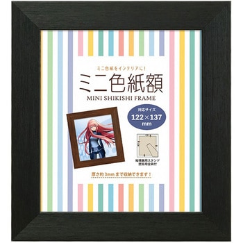 ミニ色紙額 万丈