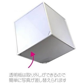 スピンキューブ L 万丈