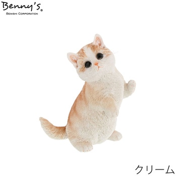 べニーズキャット マンチカン 紅石