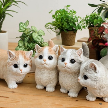 べニーズキャット マンチカン 紅石