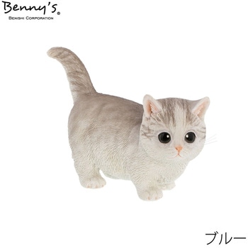 べニーズキャット マンチカン 紅石