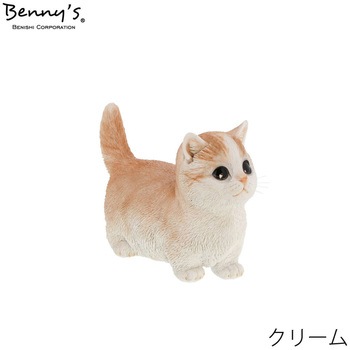 べニーズキャット マンチカン 紅石