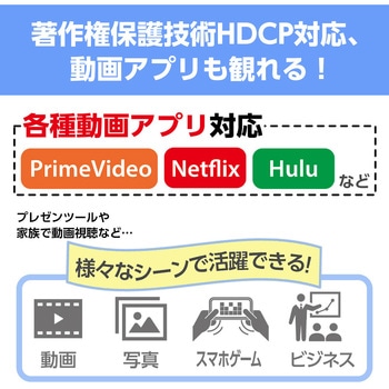 ミラーリングケーブルHDMI to Type-C 60Hz 1m エアージェイ