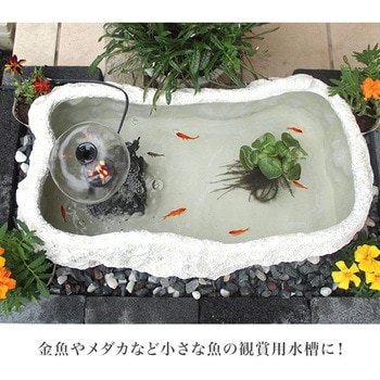 観賞魚水槽 マーブルボンド 30L 置き型 ゼンスイ
