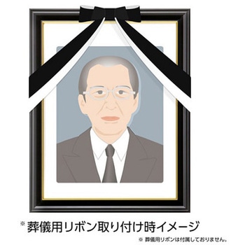 ハクバ 肖像額縁 入山 太子判サイズ 無反射PET ハクバ写真産業