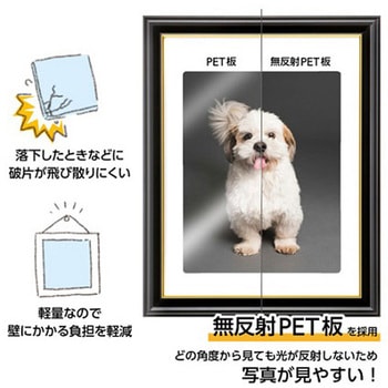 ハクバ 肖像額縁 入山 太子判サイズ 無反射PET ハクバ写真産業