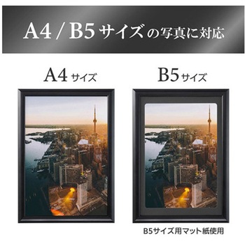 アルミ額 ペオリアプラス FAPEPシリーズ ハクバ写真産業