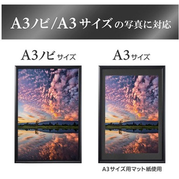 アルミ額 ペオリアプラス FAPEPシリーズ ハクバ写真産業