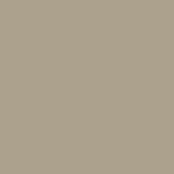 カラーライト color RITE