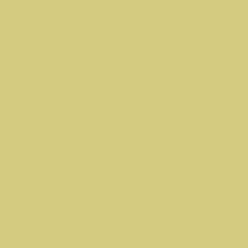 カラーライト color RITE