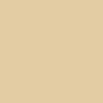 カラーライト color RITE