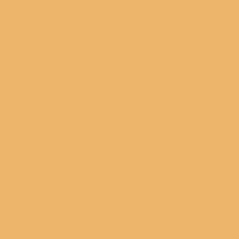 カラーライト color RITE