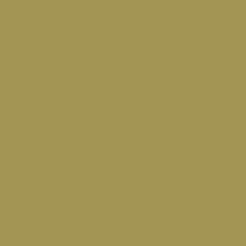 カラーライト color RITE