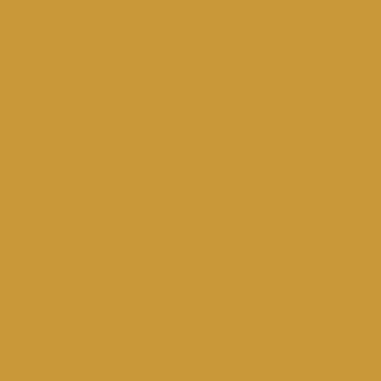 カラーライト color RITE