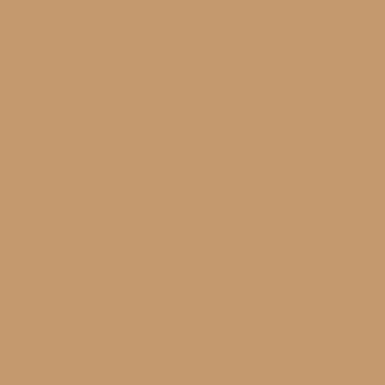 カラーライト color RITE
