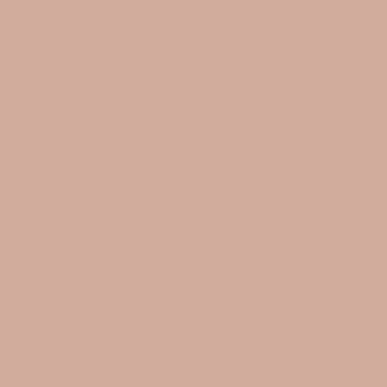 カラーライト color RITE