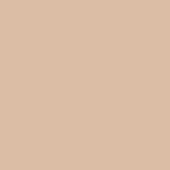 カラーライト color RITE