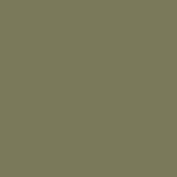 カラーライト color RITE