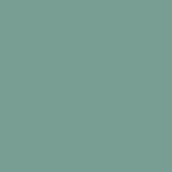 カラーライト color RITE