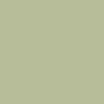 カラーライト color RITE