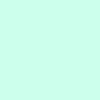 カラーライト color RITE