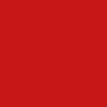 カラーライト color RITE