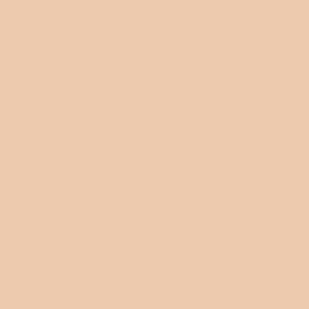 カラーライト color RITE