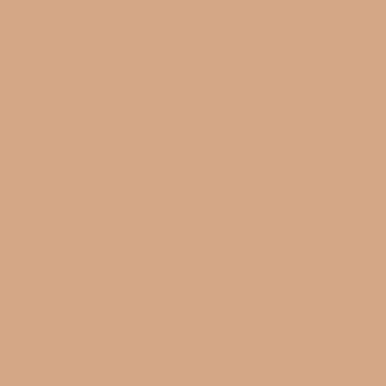 カラーライト color RITE