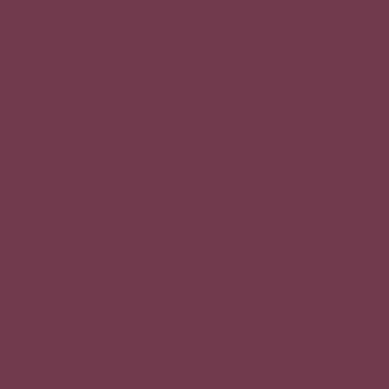 カラーライト color RITE