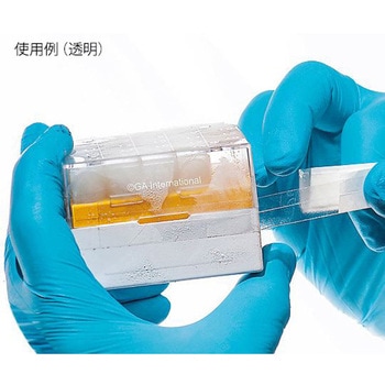 凍結容器用テープ 13mm×15m GA International