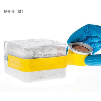 凍結容器用テープ 19mm×15m GA International