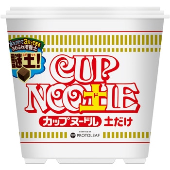 カップヌー土ル プロトリーフ