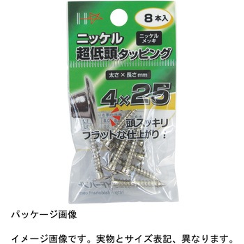 HP ニッケル 超低頭タッピング - ダイドーハント(大同製鋲所)