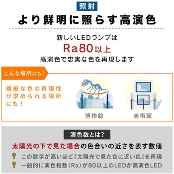wasser701  蛍光灯 40W形 直管LEDランプ 120cm 昼光色 大河商事